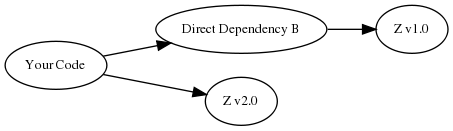 digraph {
    rankdir="LR";
    node [fontsize=10]

    yc [label="Your Code"]
    db [label="Direct Dependency B"]
    dtz1 [label="Z v1.0"]
    dtz2 [label="Z v2.0"]

    yc -> db -> dtz1;
    yc -> dtz2;
}